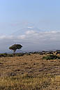 Mount Kilimanjaro Amboseli Kenya